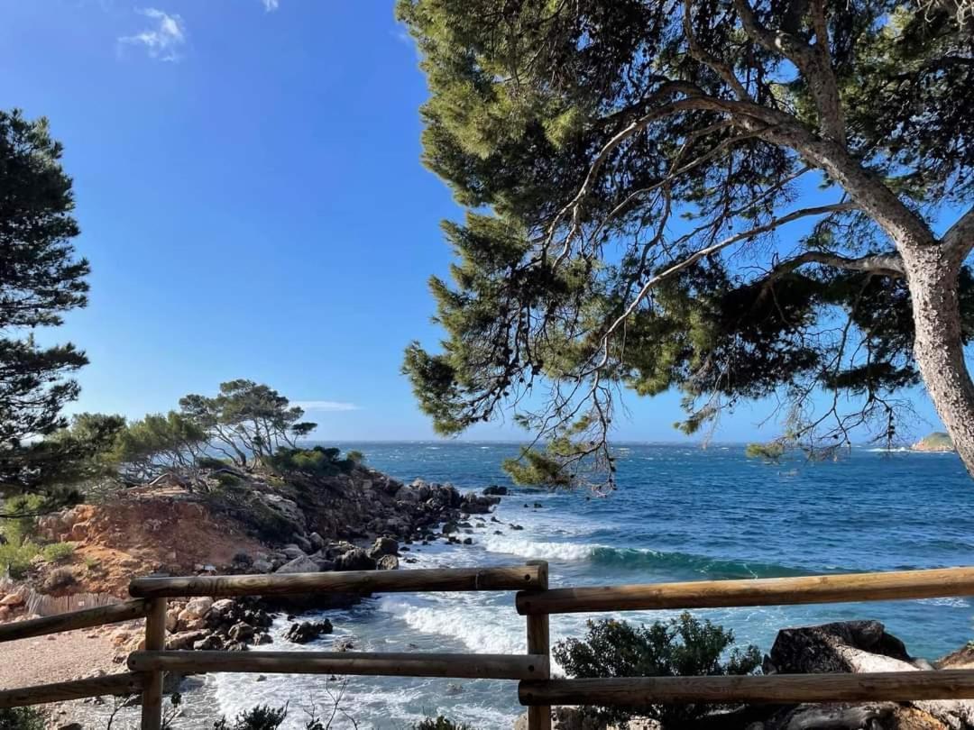 Villa Cocody 邦多勒 外观 照片