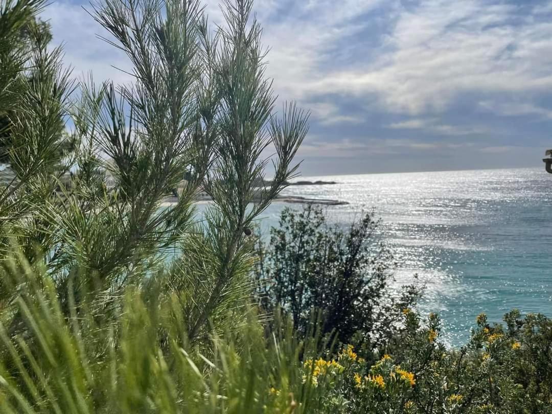 Villa Cocody 邦多勒 外观 照片