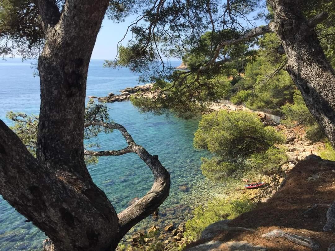 Villa Cocody 邦多勒 外观 照片